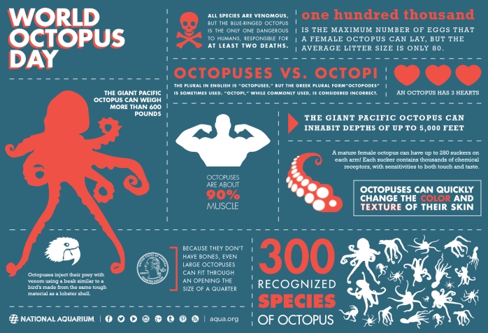 octopus infographic